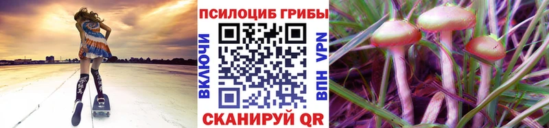 Псилоцибиновые грибы Cubensis  Лихославль 